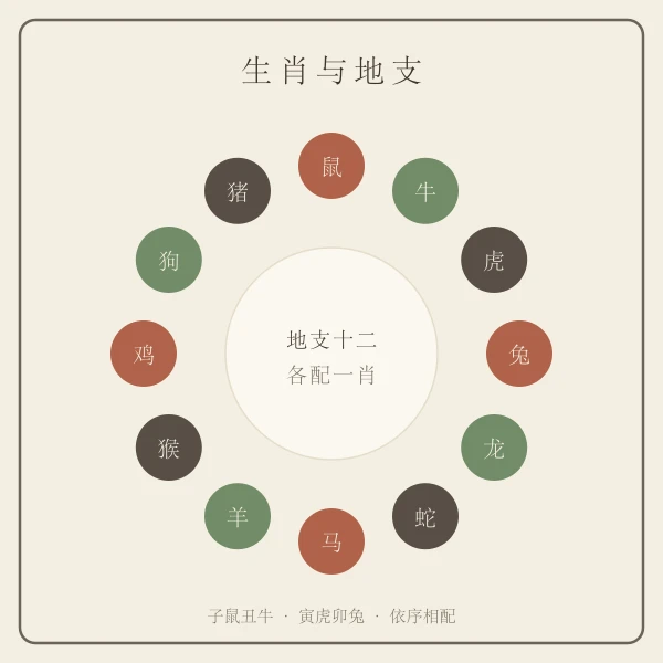 干支纪年与生肖对照示意