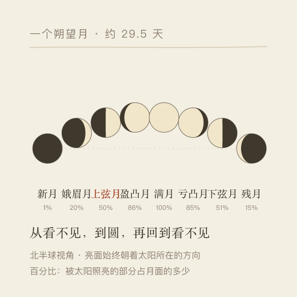 一个朔望月里八个月相沿弧线排布的示意，含中文相名与照亮比例