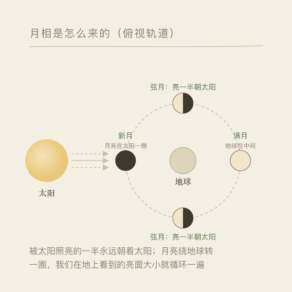 月球绕地球公转与太阳光方向示意，说明月相成因