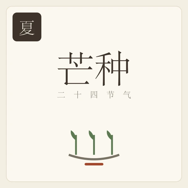 芒种节气主题插画:螳螂生