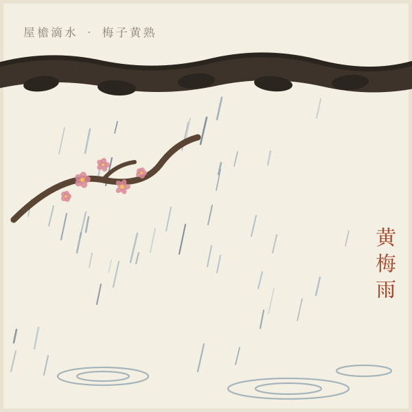 梅雨时节屋檐雨帘与梅枝插画