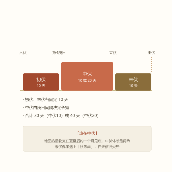 初伏中伏末伏三段结构时间轴