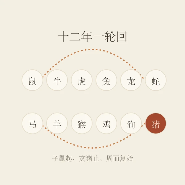 生肖年份轮回示意