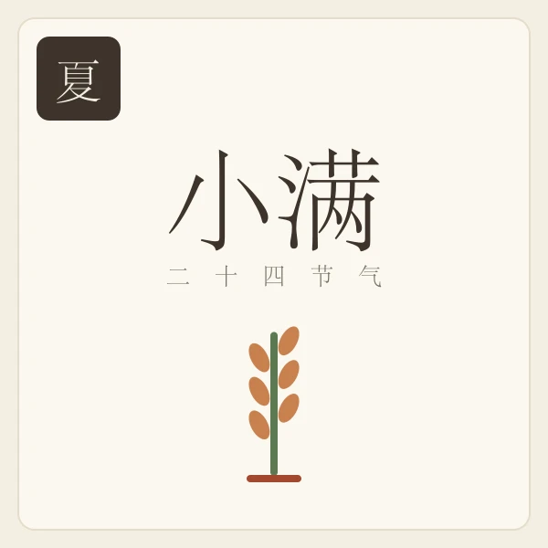 小满节气主题插画:苦菜秀