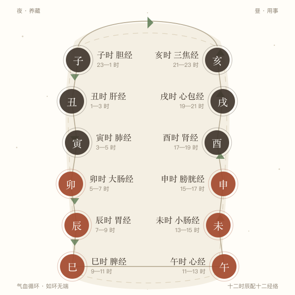 子午流注十二时辰经络走向示意图