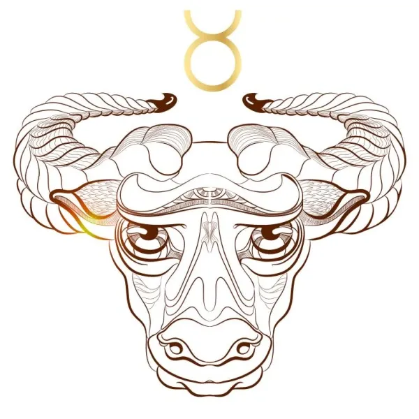 金星逆行如何影响今日运势：查看你的星座幸运指南  第1张
