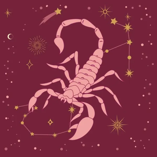 星座避雷指南：四大狗都不谈的星座揭秘  第1张