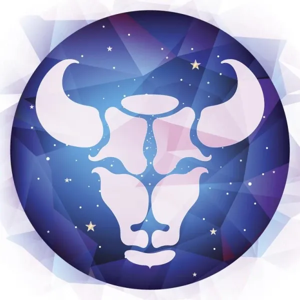 四象星座配对指南：揭秘土水火风的元素恋爱法则