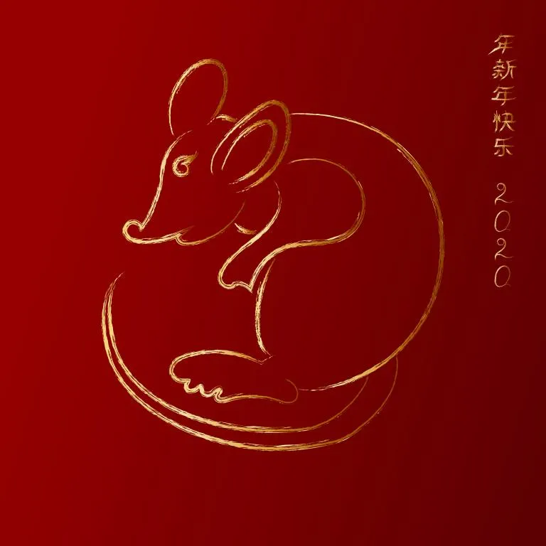 十二生肖五行缺失解析：属相运势全指南  第1张