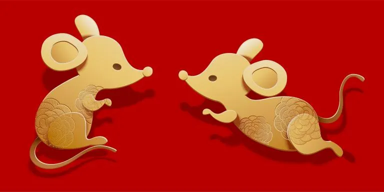 十二生肖顺序解析：子丑寅卯对应动物全解  第1张