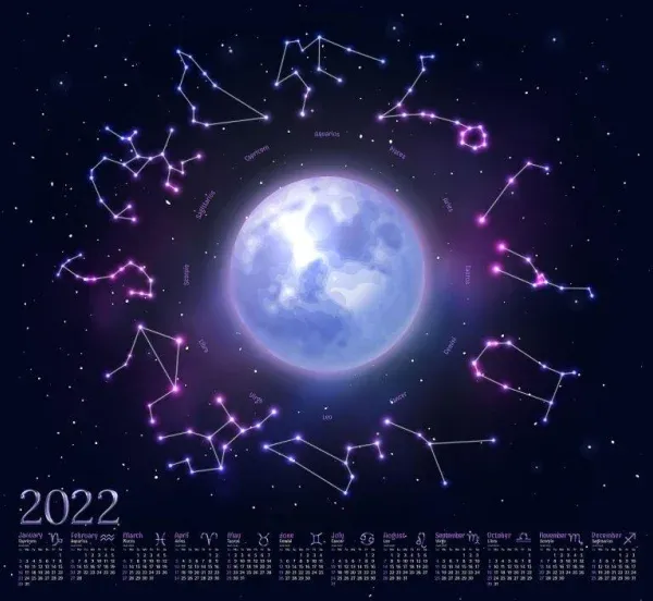 2025年属猪人的全年运势详解，1971的猪在2025年运程