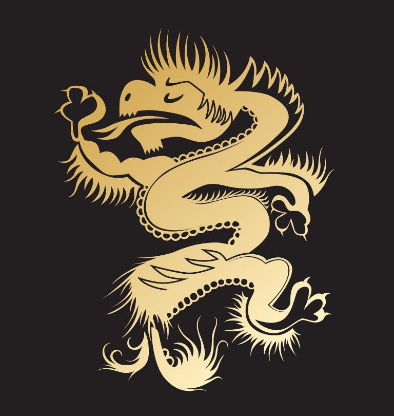 属龙的吉位在哪个方向（属龙吉位方向详解）  第3张
