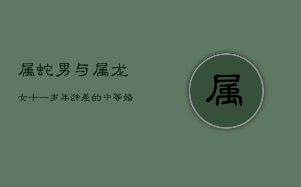 属蛇男与属龙女：十一岁年龄差的中等婚配挑战  第1张