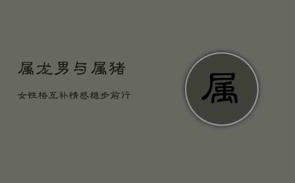 属龙男与属猪女：性格互补，情感稳步前行的配对分析  第1张