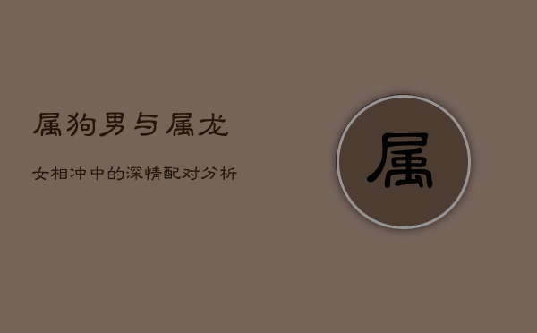 属狗男与属龙女：相冲中的深情配对分析
