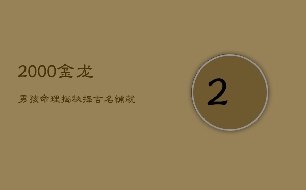 2000金龙男孩命理揭秘：择吉名，铺就辉煌人生路  第1张