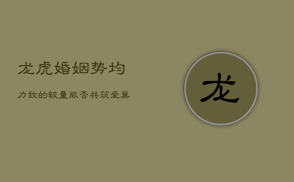 龙虎婚姻：势均力敌的较量，能否共筑爱巢？  第1张