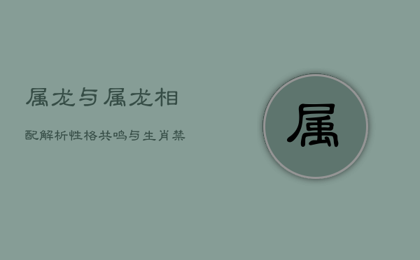 属龙与属龙相配解析：性格共鸣与生肖禁忌  第1张