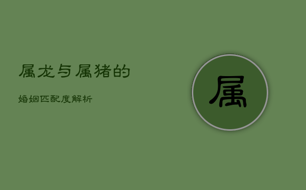 属龙与属猪的婚姻匹配度解析  第1张