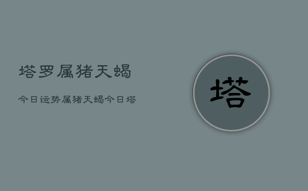 塔罗属猪天蝎今日运势，属猪天蝎今日塔罗运程  第1张
