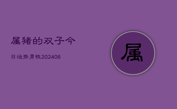 属猪的双子今日运势男性(6月22日)  第1张