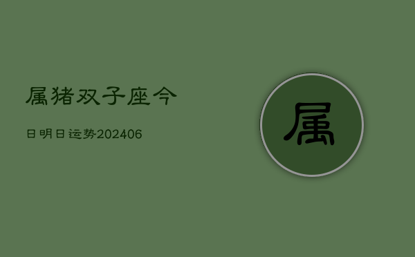属猪双子座今日明日运势(6月22日)