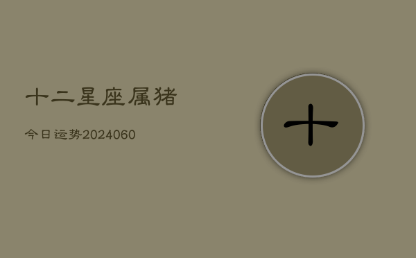 十二星座属猪今日运势(6月22日)  第1张