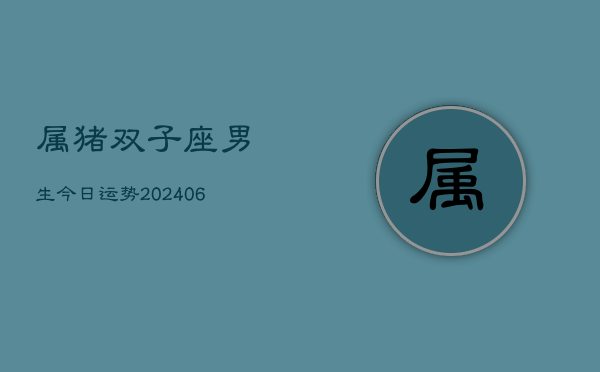 属猪双子座男生今日运势(6月15日)  第1张