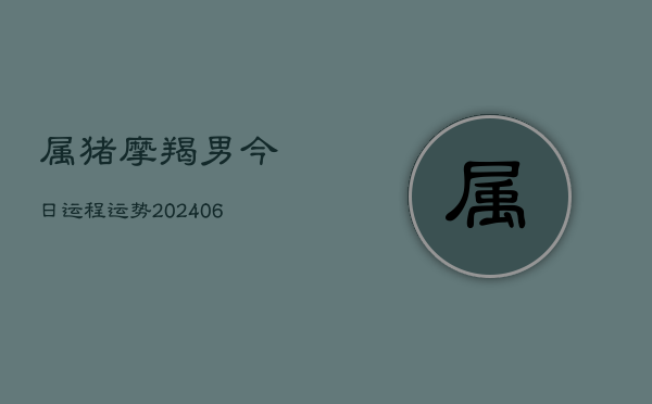 属猪摩羯男今日运程运势(6月15日)  第1张