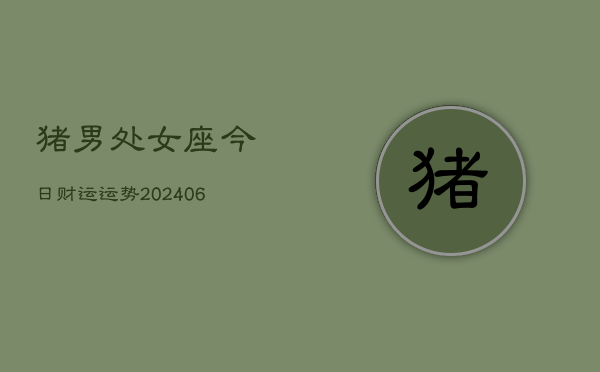 猪男处女座今日财运运势(6月15日)  第1张
