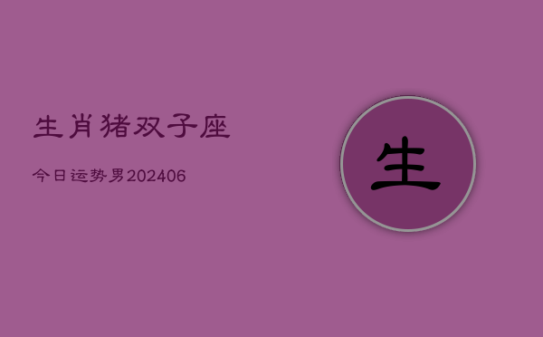 生肖猪双子座今日运势男(6月15日)