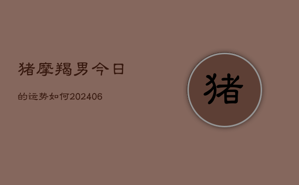 猪摩羯男今日的运势如何(6月15日)  第1张