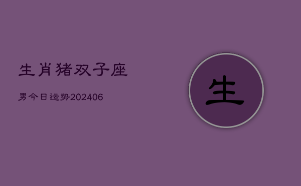 生肖猪双子座男今日运势(6月15日)  第1张